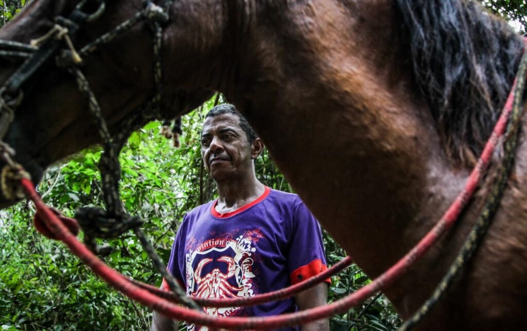 Seringal Macapá: o dia a dia de uma floresta habitada
