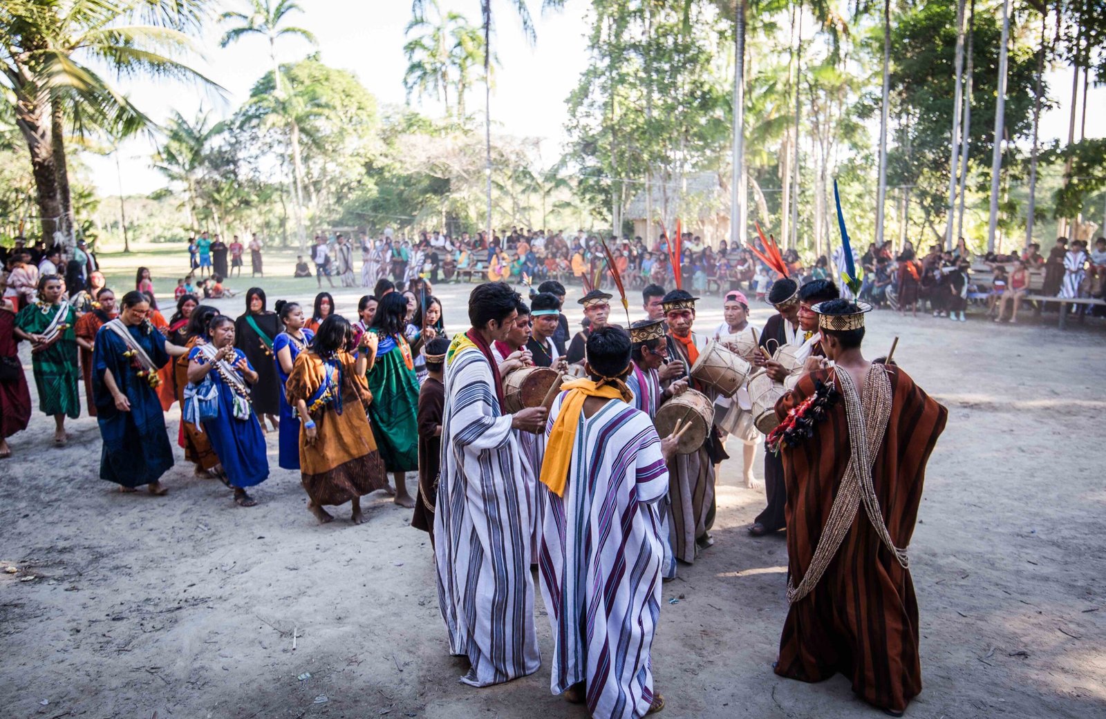 Galeria de Arison Jardim