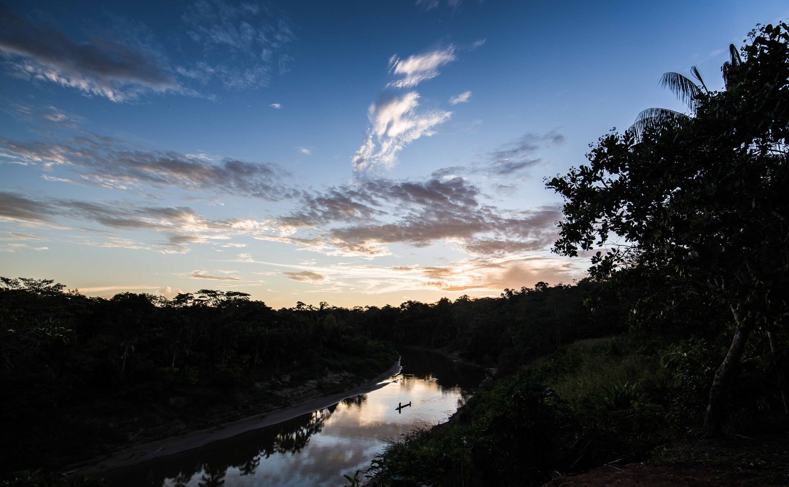 Galeria de Arison Jardim