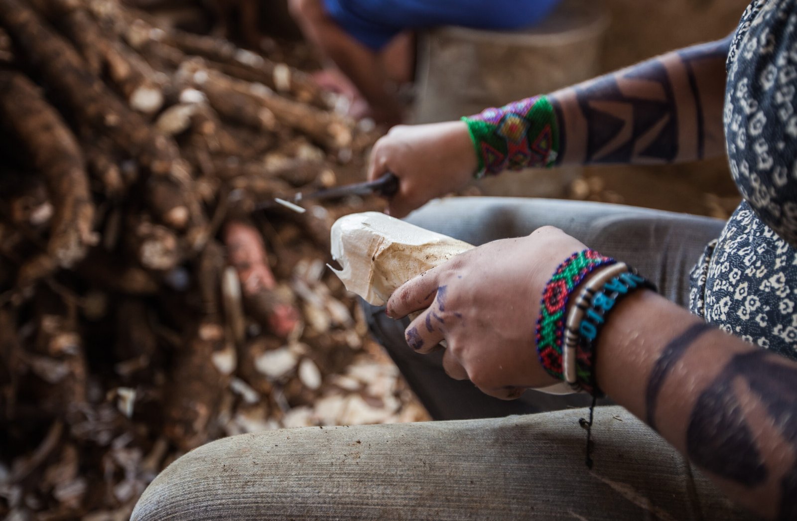 Galeria de Arison Jardim