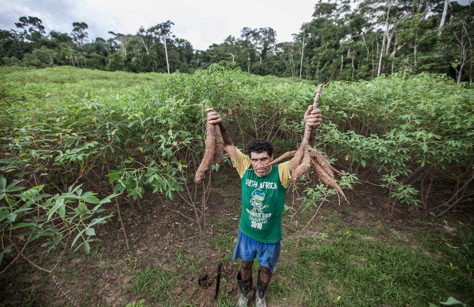 Galeria de Arison Jardim