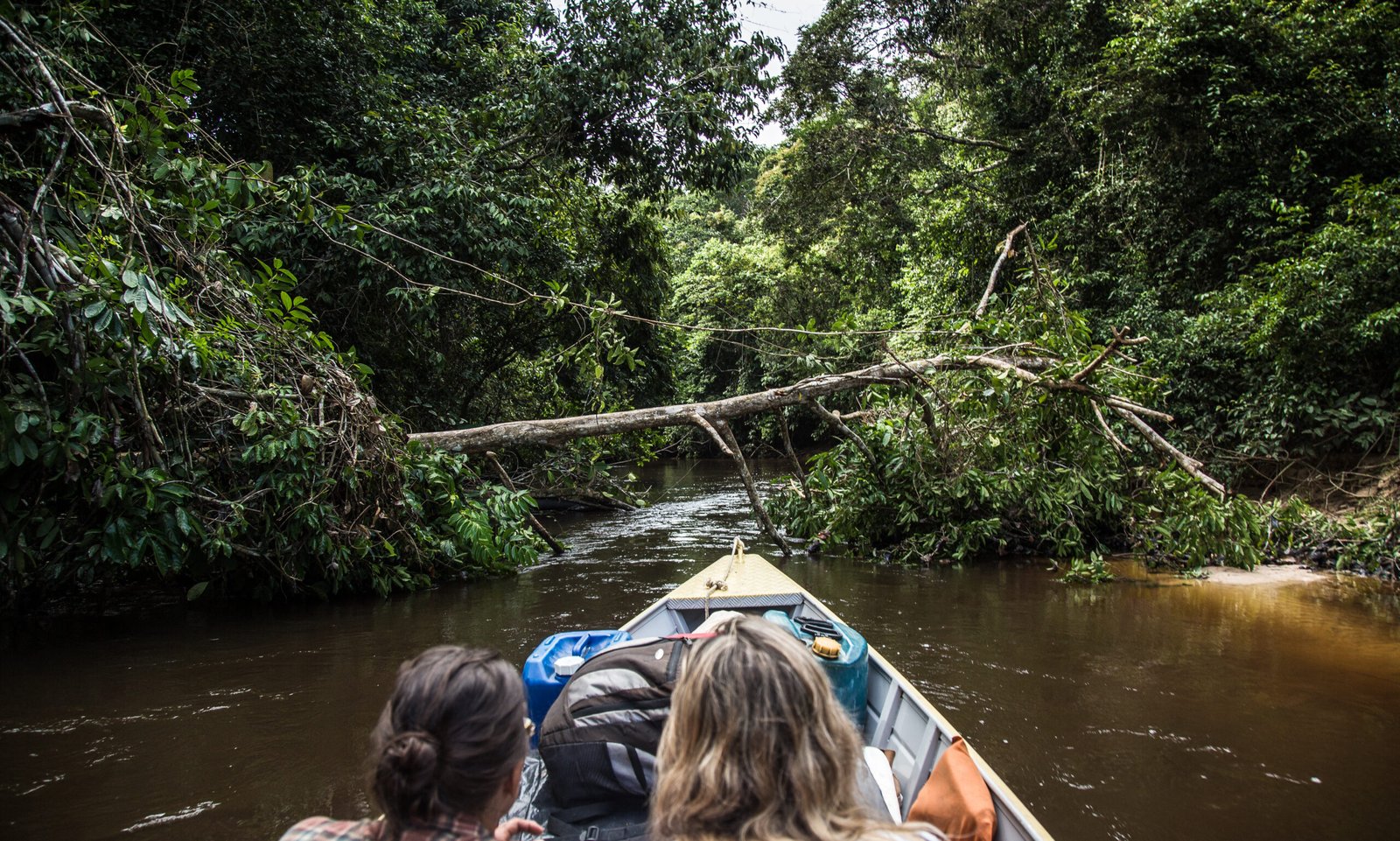 Galeria de Arison Jardim