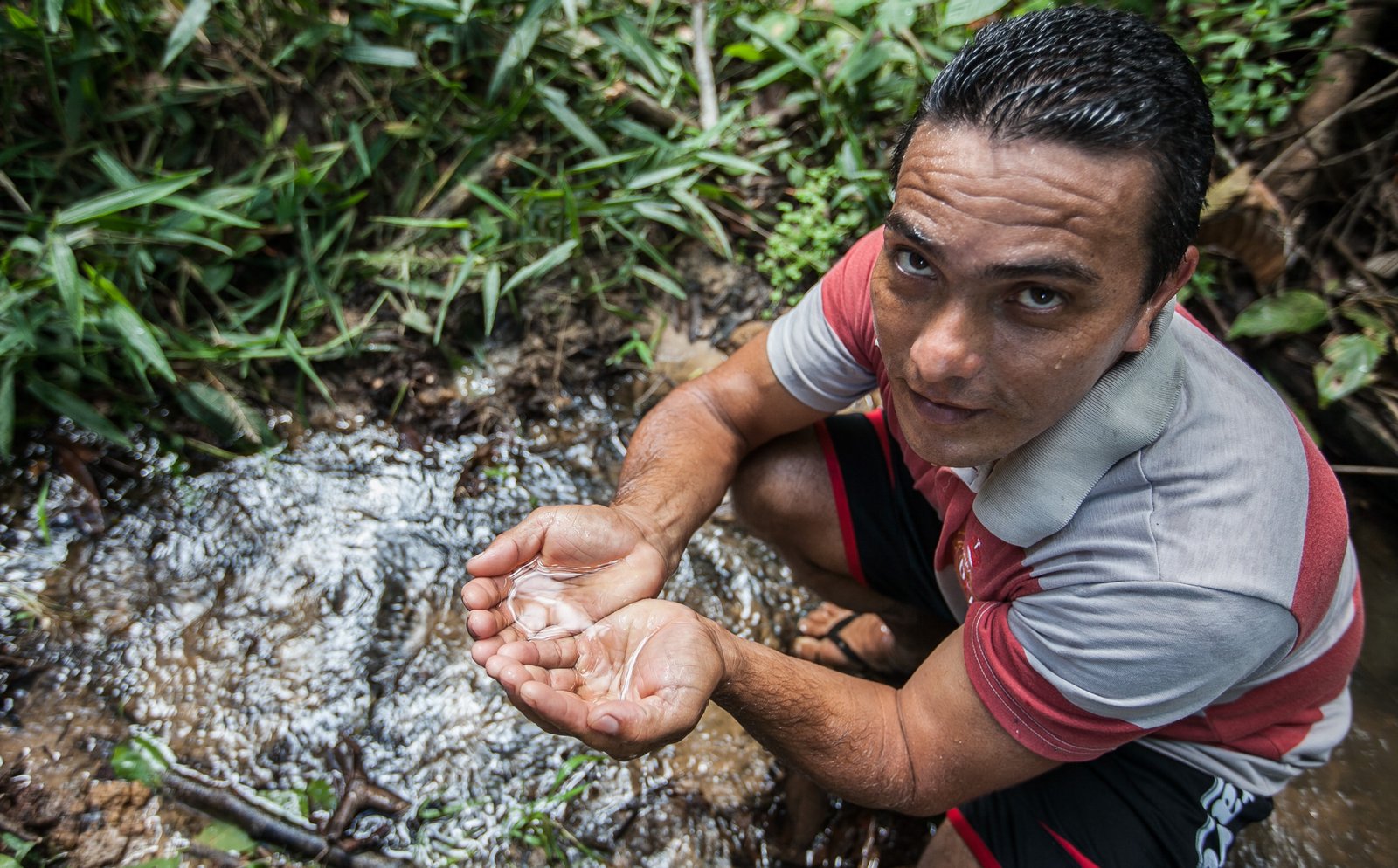 Galeria de Arison Jardim