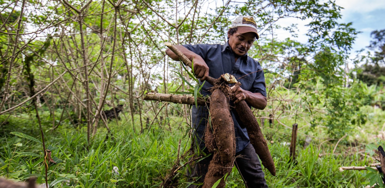 Galeria de Arison Jardim