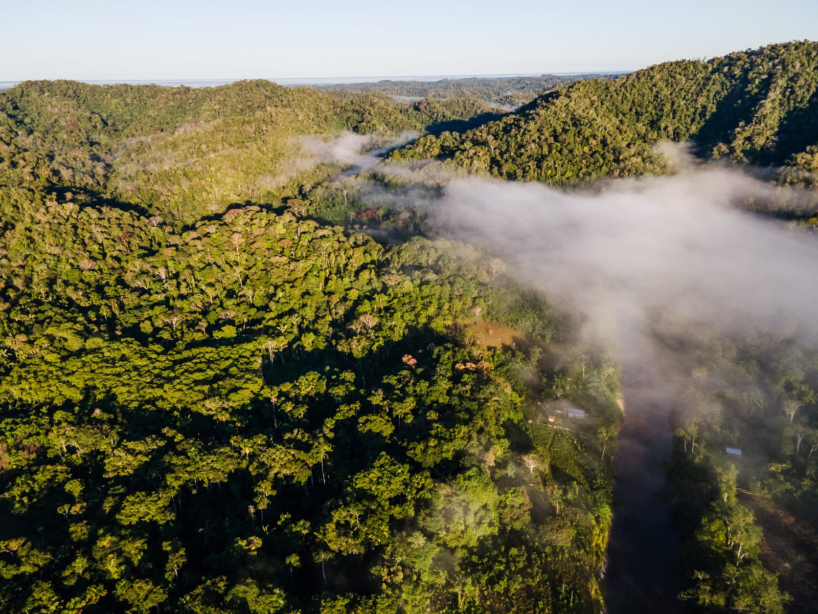 Galeria de Arison Jardim