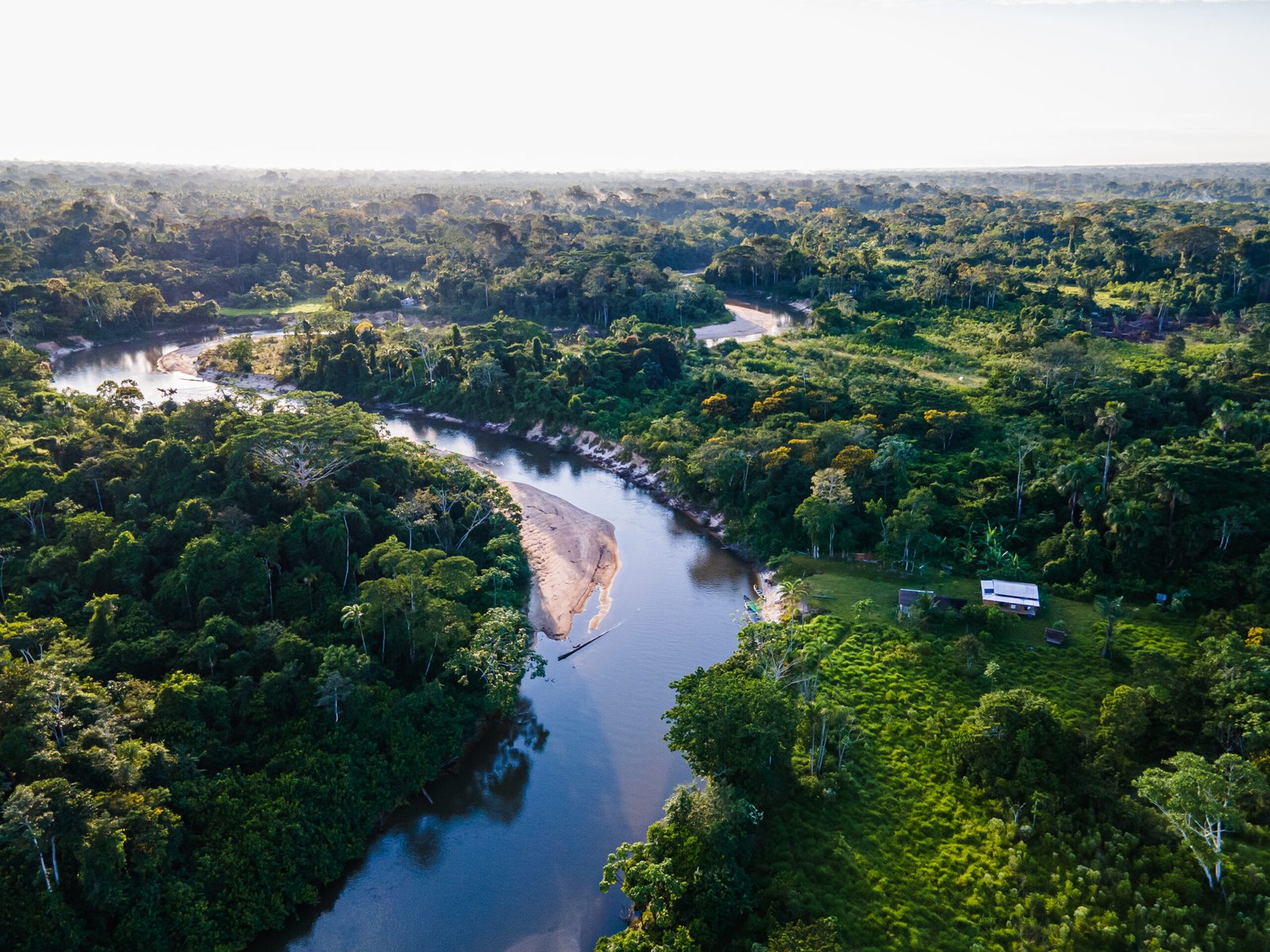 Galeria de Arison Jardim