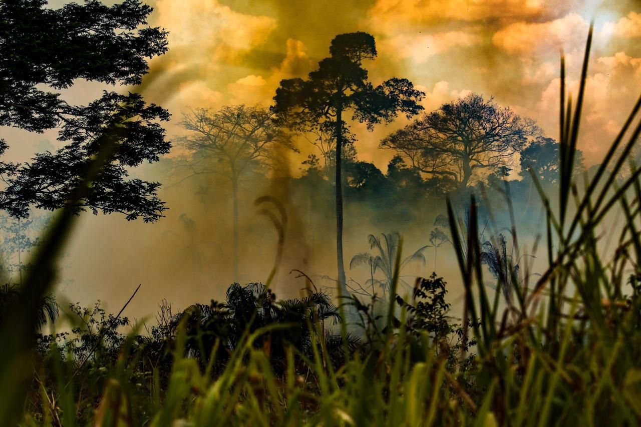 Galeria de Sérgio Vale