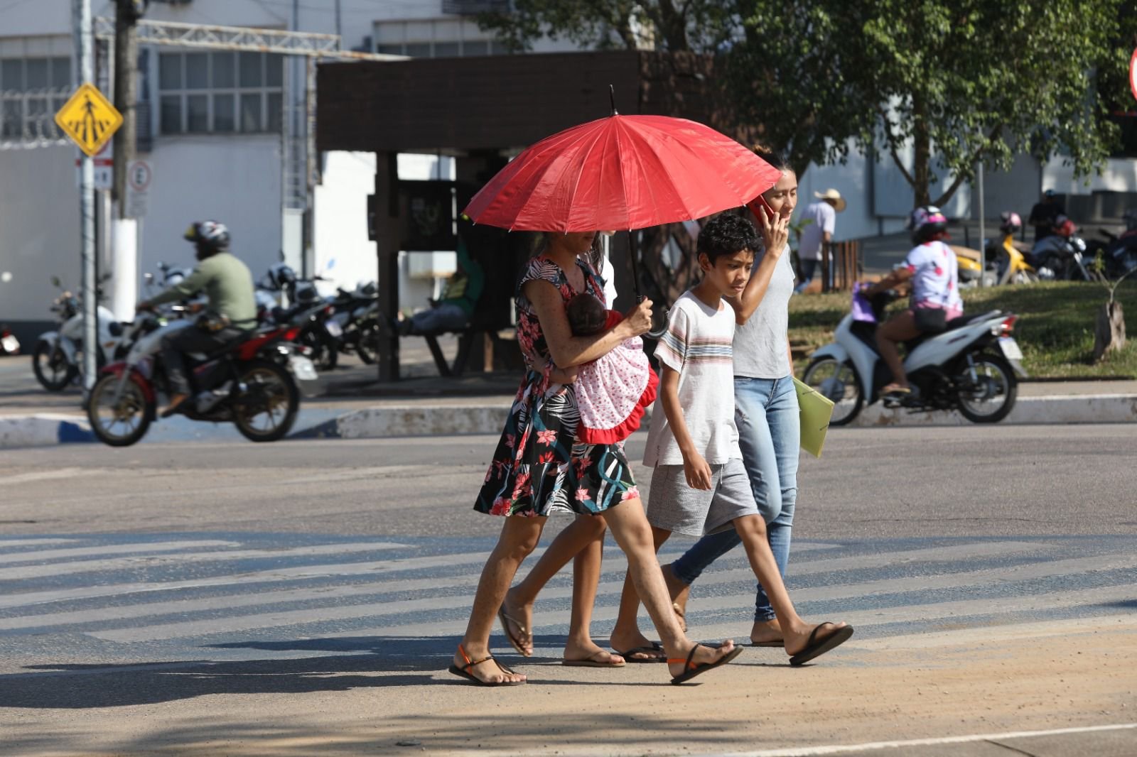 Galeria de Sérgio Vale