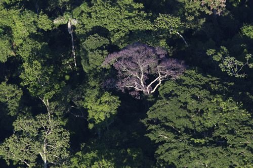 Galeria de Sérgio Vale