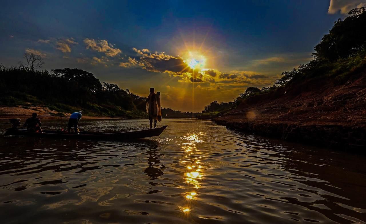 Galeria de Sérgio Vale