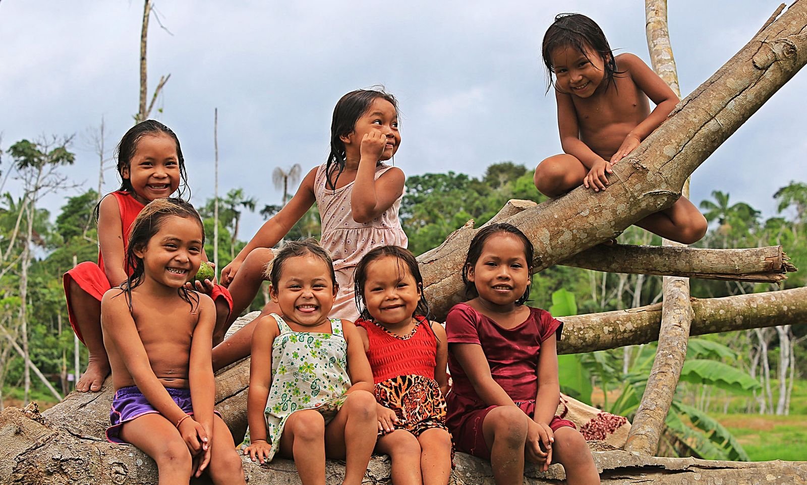 Galeria de Sérgio Vale