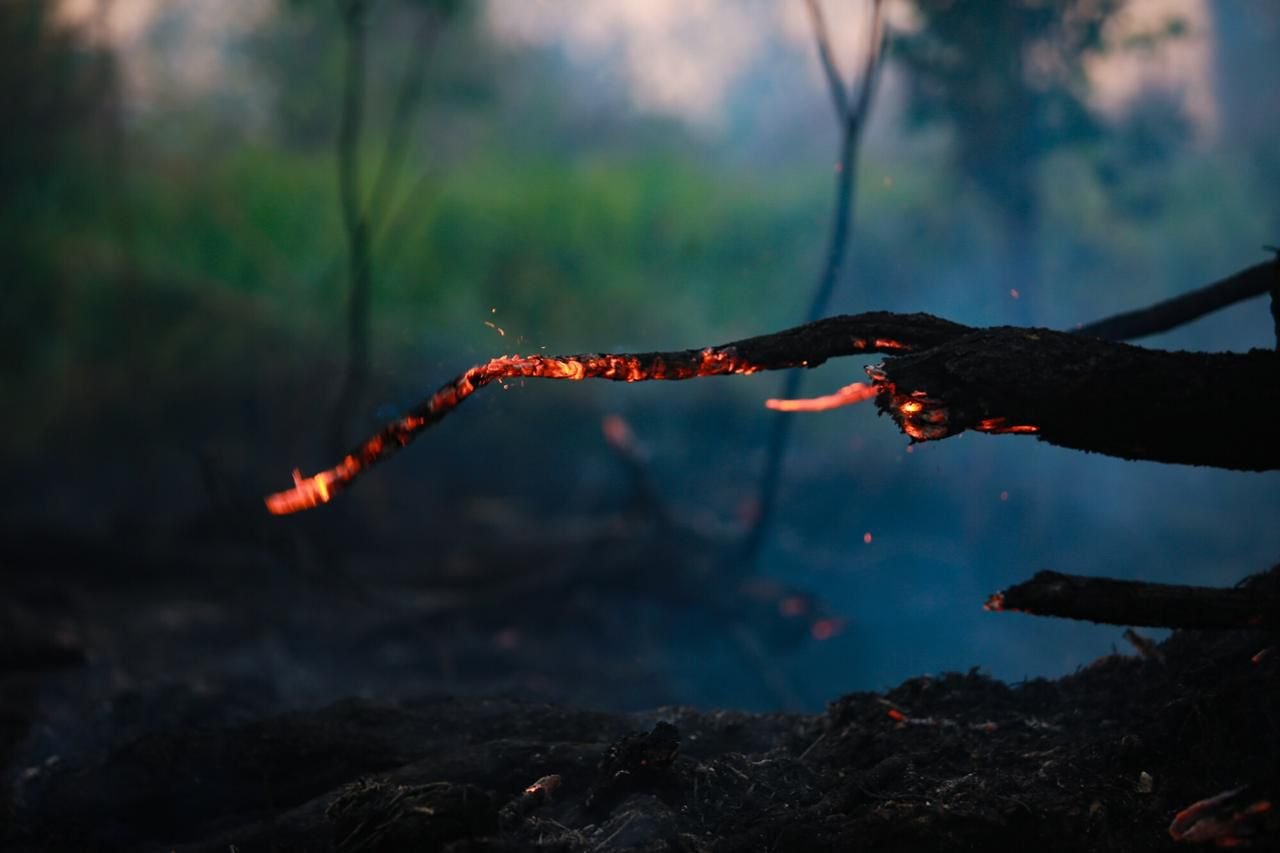 Galeria de Sérgio Vale