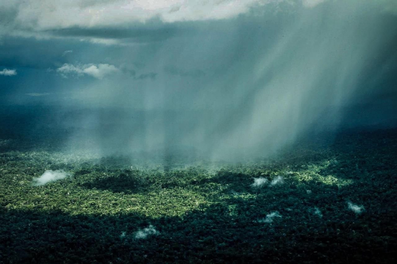 Galeria de Sérgio Vale