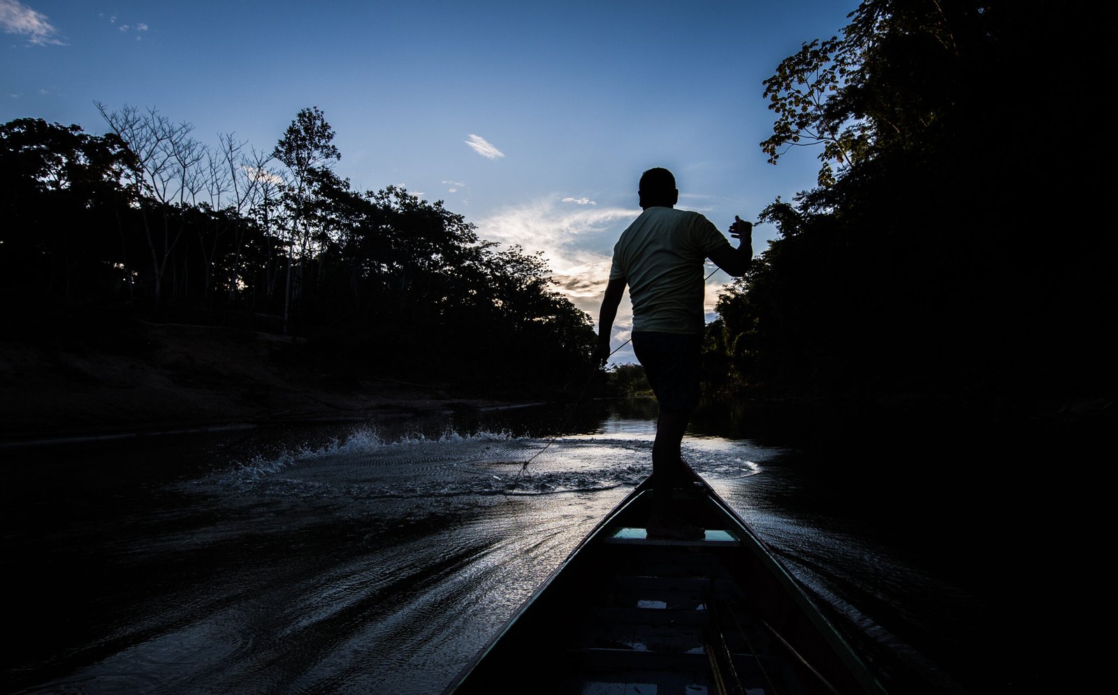 Galeria de Arison Jardim