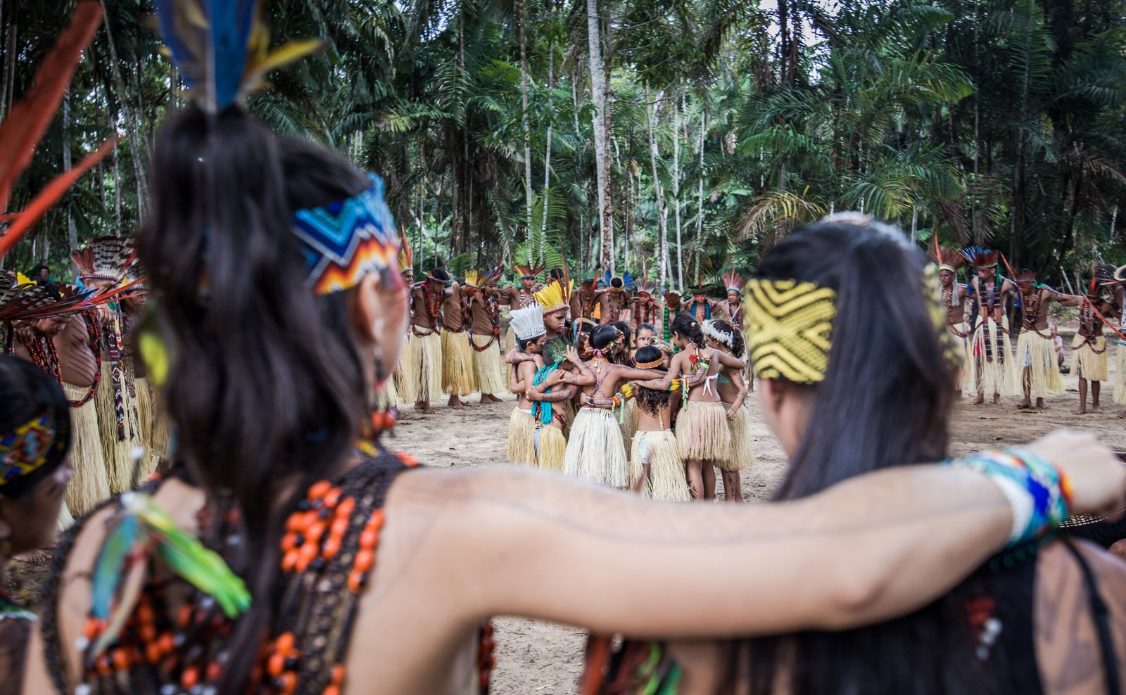 Galeria de Arison Jardim