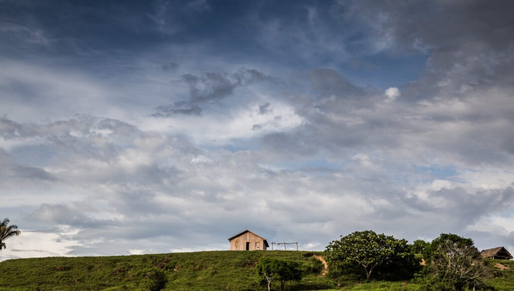 Galeria de Arison Jardim