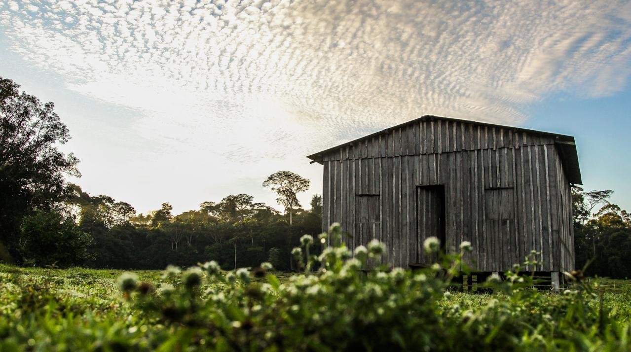 Galeria de Arison Jardim